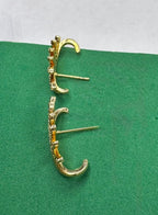 Brinco Leque Dourado Cravejado com Zircônias