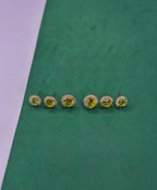 Trio de Brincos Solare Yellow Fancy
